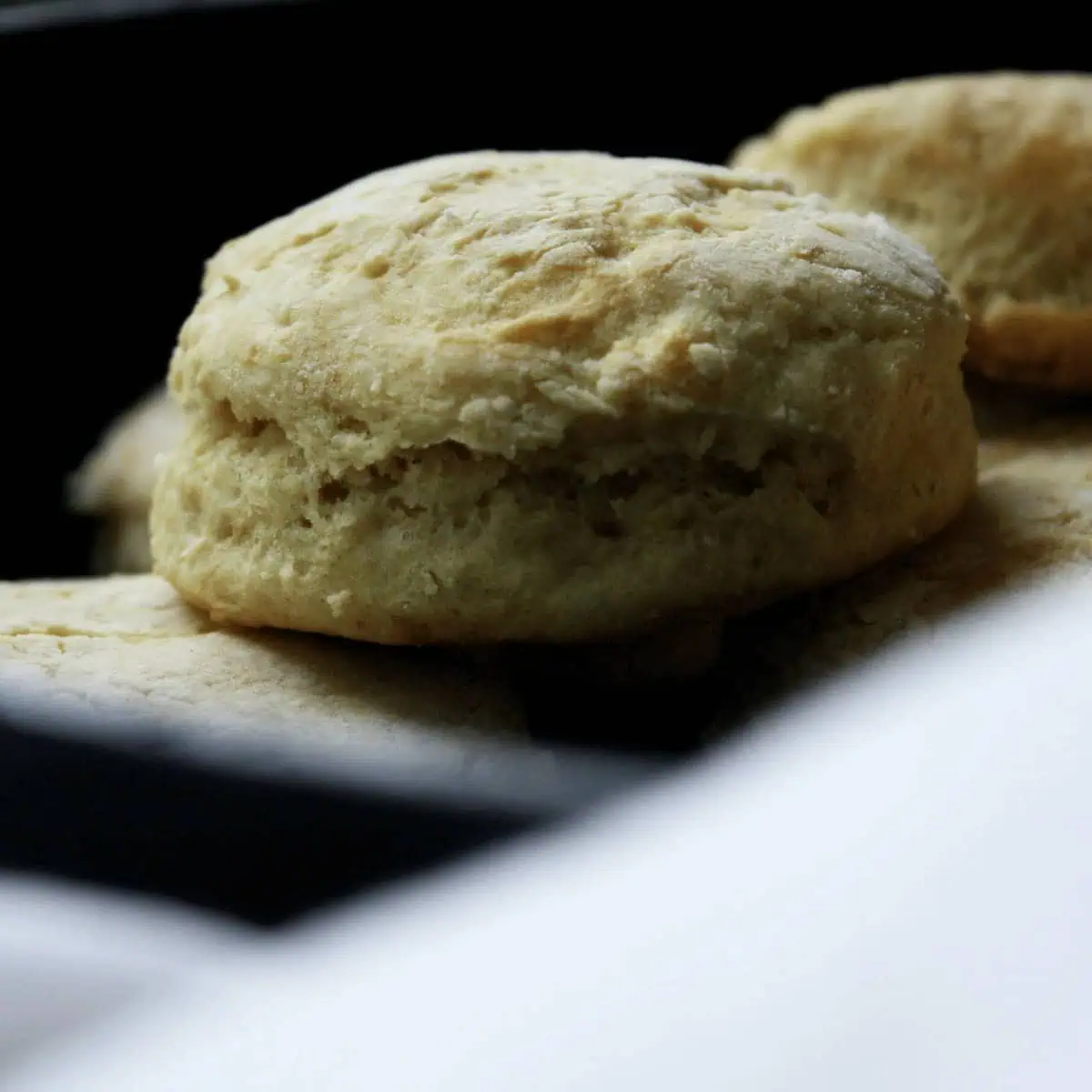 avocado oil vegan buttermilk biscuit in skillet