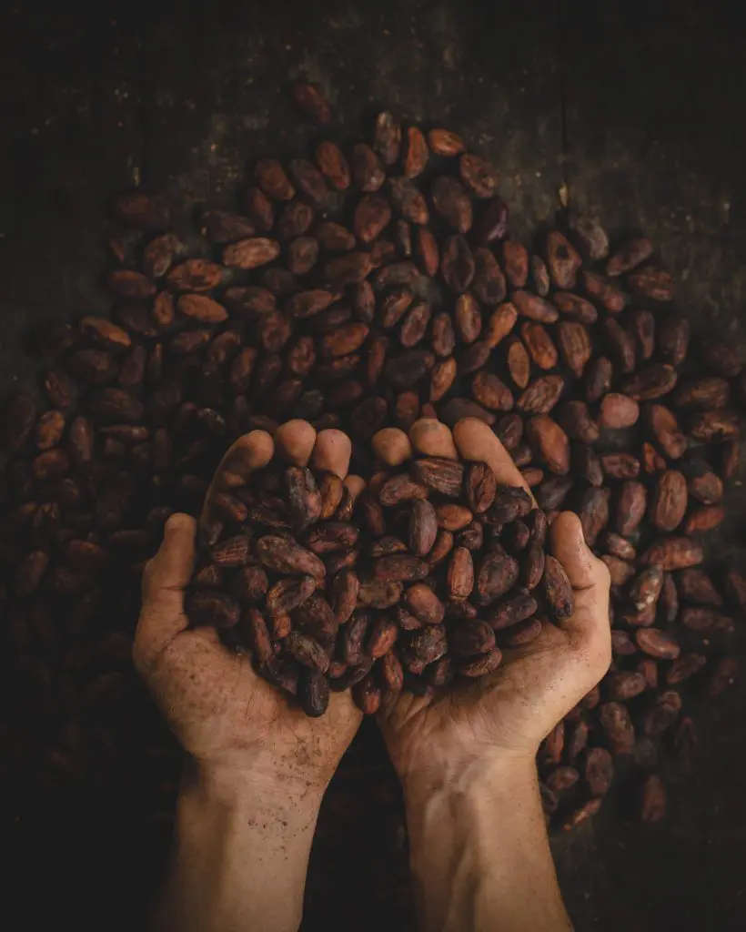 Overhead shot of cacao beans | Photo by Pablo Merchán Montes on Unsplash | hearth health happiness