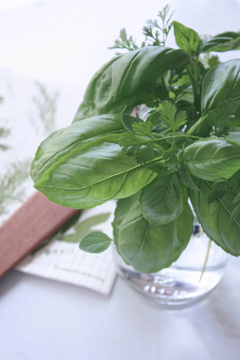 herbs in glass jar | hearth health happiness