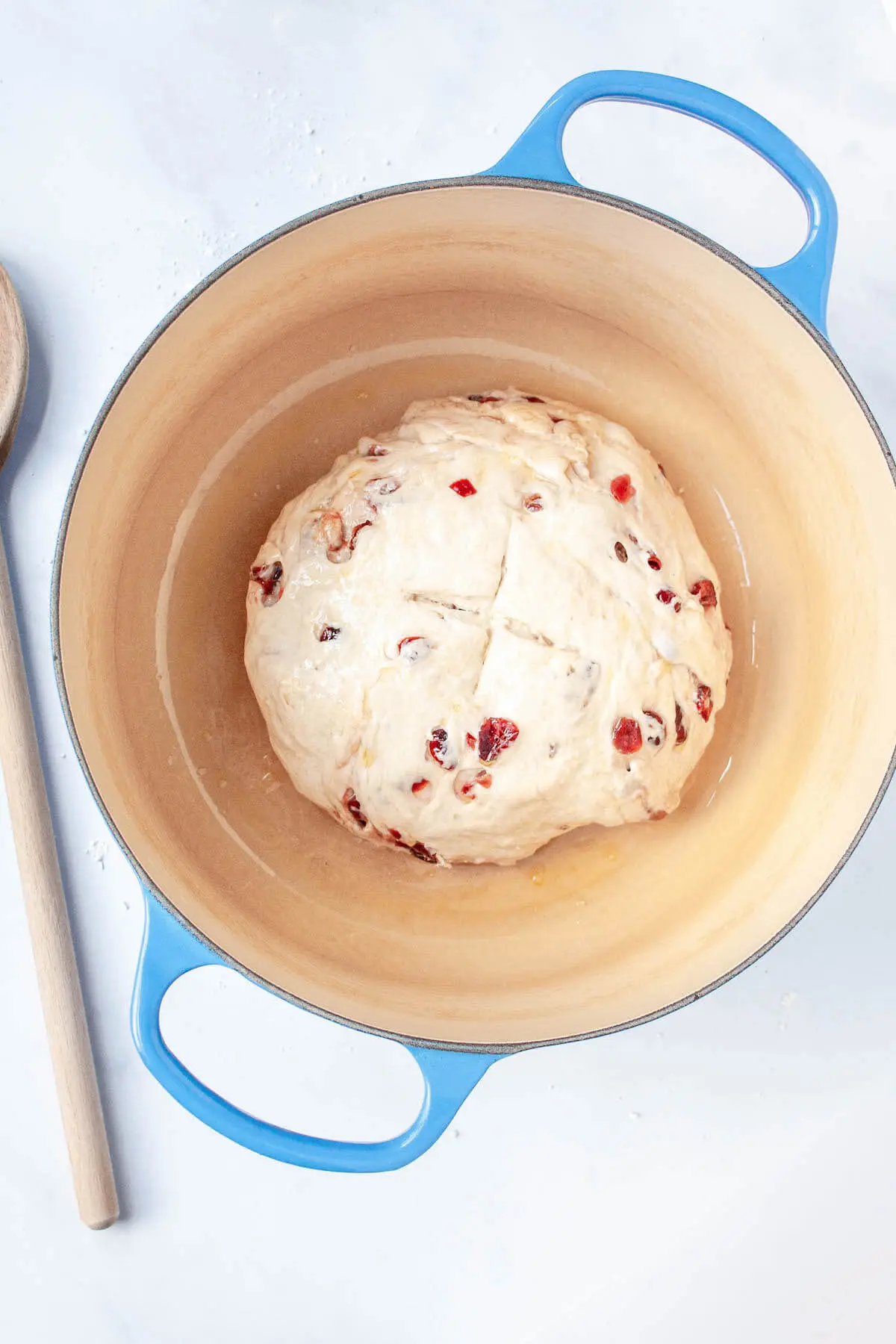 https://inspiredepicurean.com/wp-content/uploads/2021/02/cranberry-boule-bread-before-baking-v1.jpg.webp