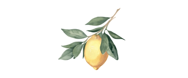 watercolor lemon on branch