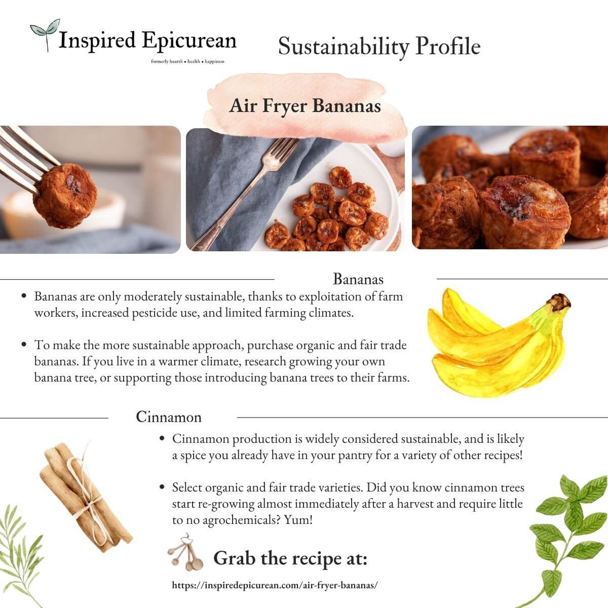 infographic outlining sustainability of bananas and cinnamon