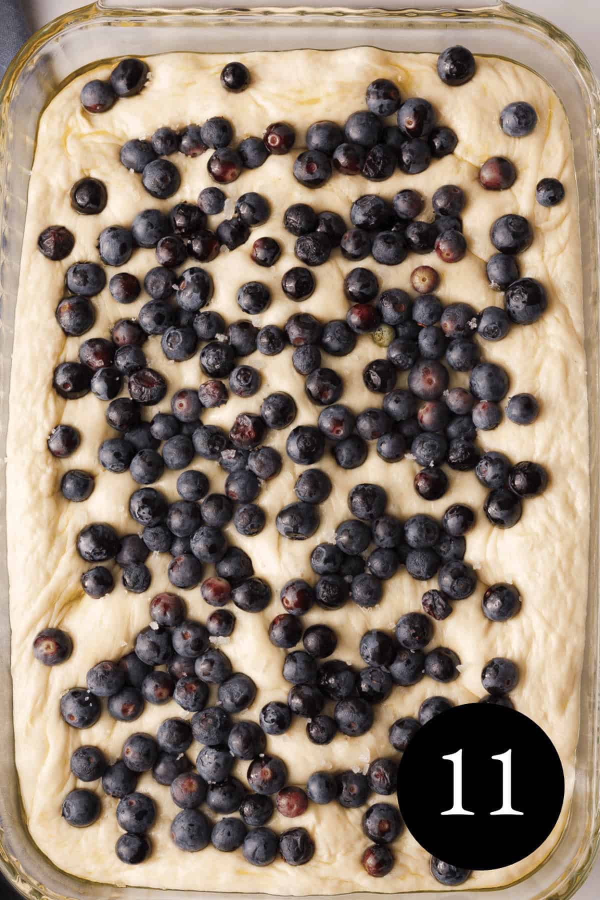 overhead image of focaccia topped with blueberries before baking