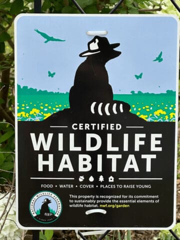 national wildlife federation habitat certification sign on display in garden
