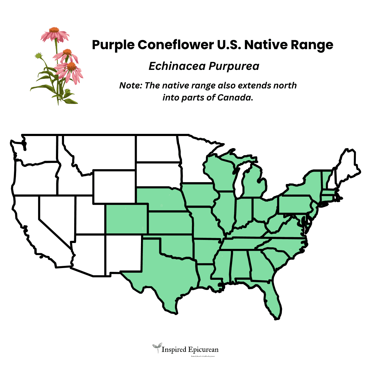 infographic of united states with the native range highlighted in green (zones 3-8) 