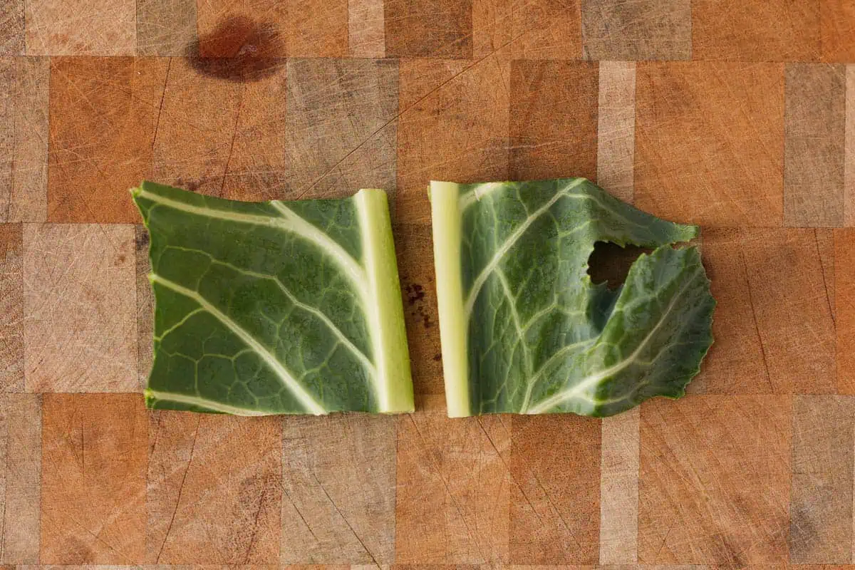 a smaller part of the collard green leaf cut into two pieces down the middle of the center stalk