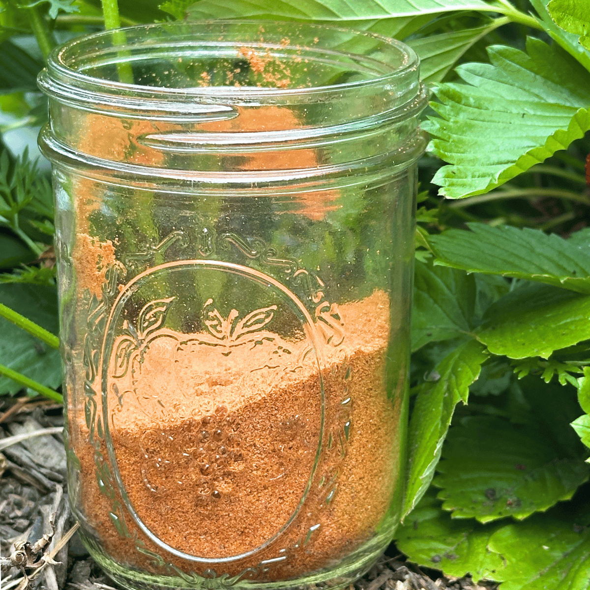 avocado seed powder in mason jar with strawberry leaves to the right