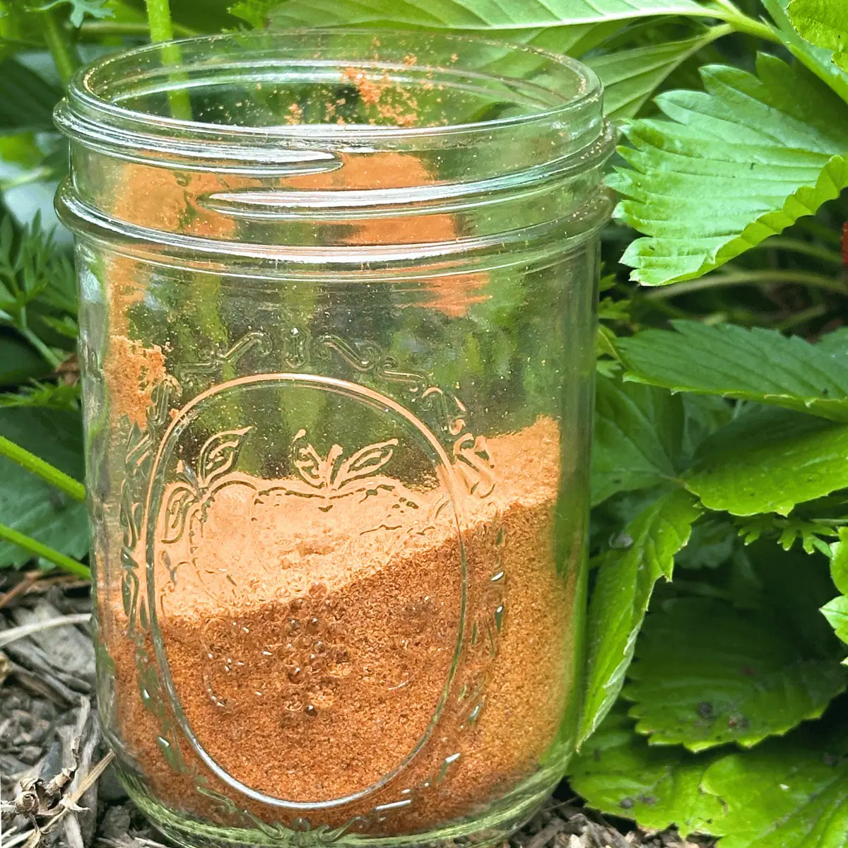 avocado seed powder in mason jar with strawberry leaves to the right