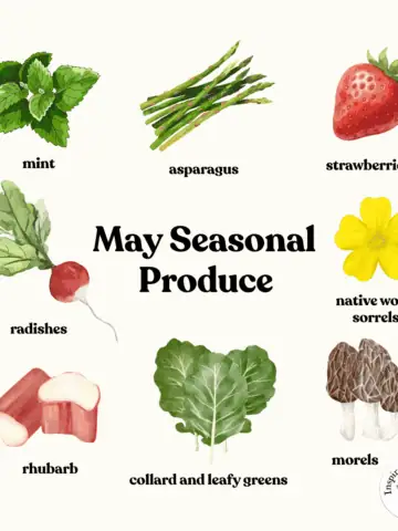 graphic showing broad seasonal May produce with text in center