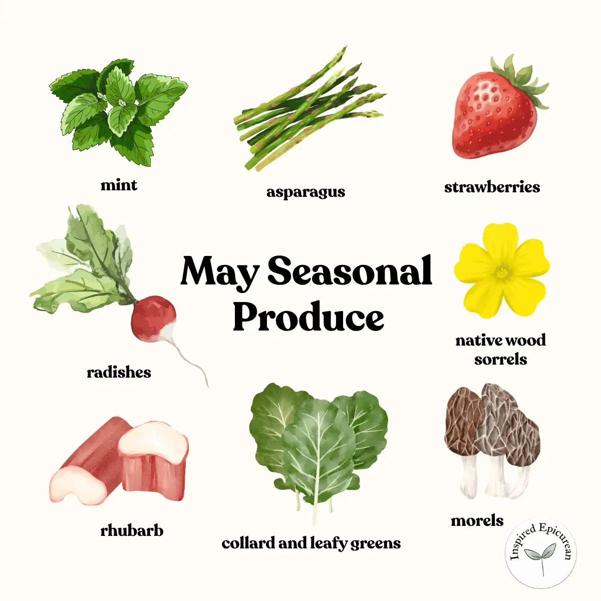 graphic showing broad seasonal May produce with text in center