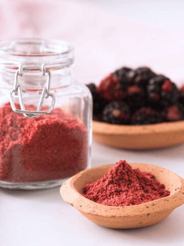 closeup of blackberry powder in small bowl with larger container and fresh blackberries in the background