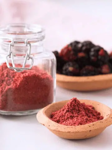 closeup of blackberry powder in small bowl with larger container and fresh blackberries in the background