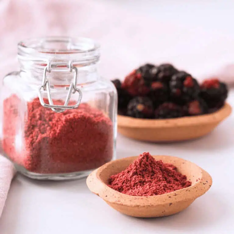 closeup of blackberry powder in small bowl with larger container and fresh blackberries in the background
