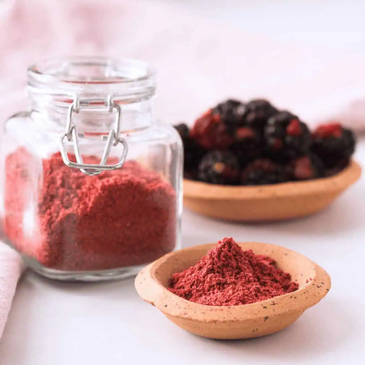 closeup of blackberry powder in small bowl with larger container and fresh blackberries in the background