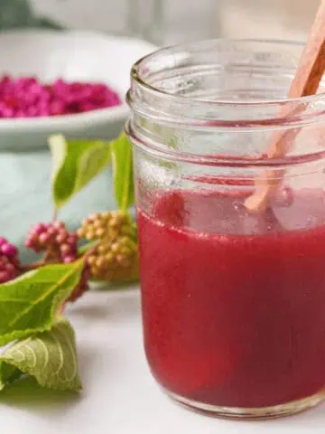closeup of beautyberry jelly in jar with branch and loose berries in background